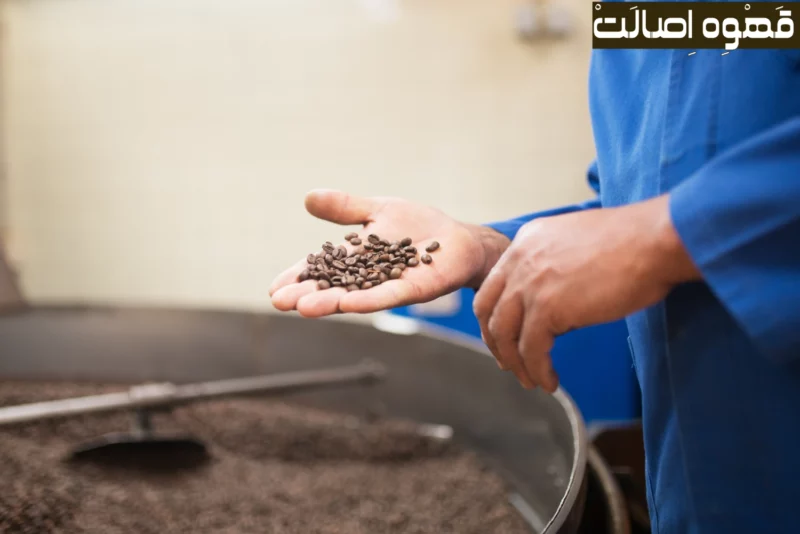 قهوه تازه رست شده