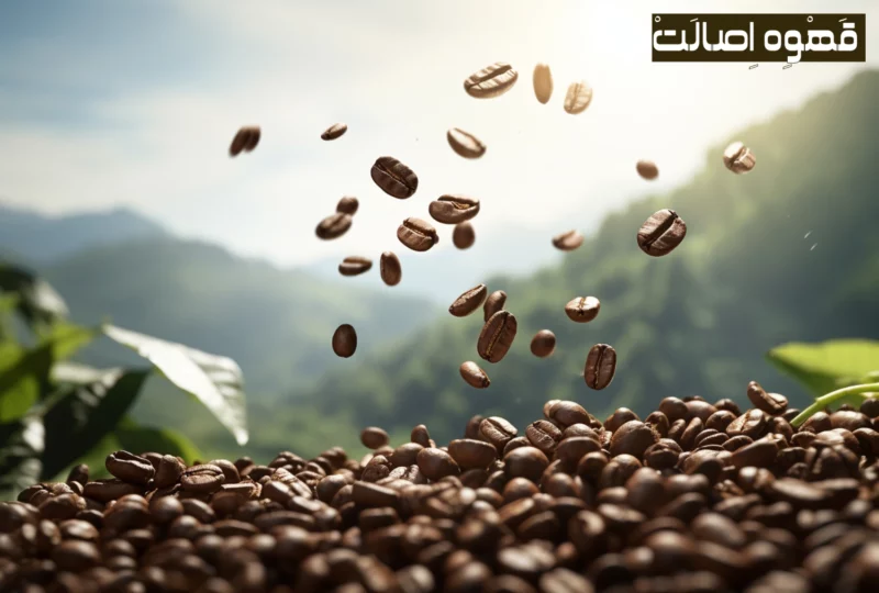خرید قهوه تازه