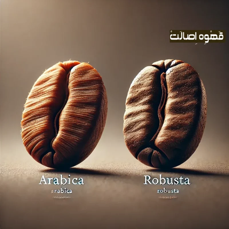 تفاوت بین عربیکا و ربوستا