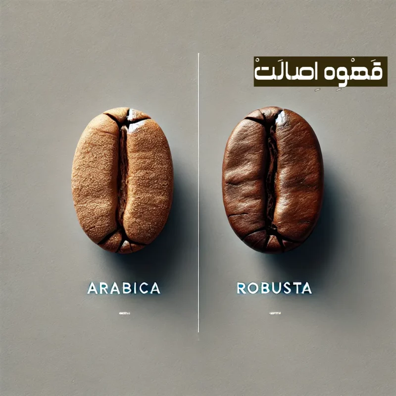 قهوه عربیکا و قهوه ربوستا