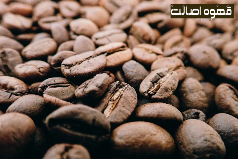 قهوه عربیکا